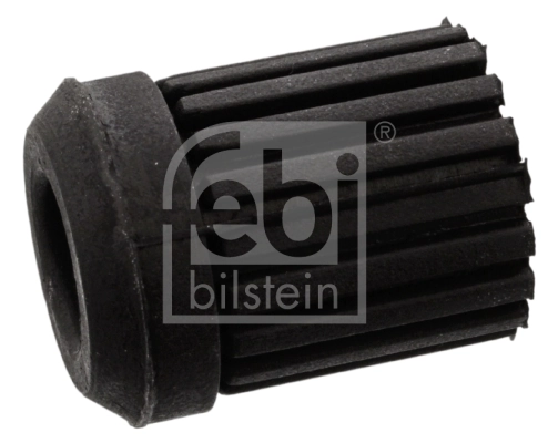 Bushing, leaf spring